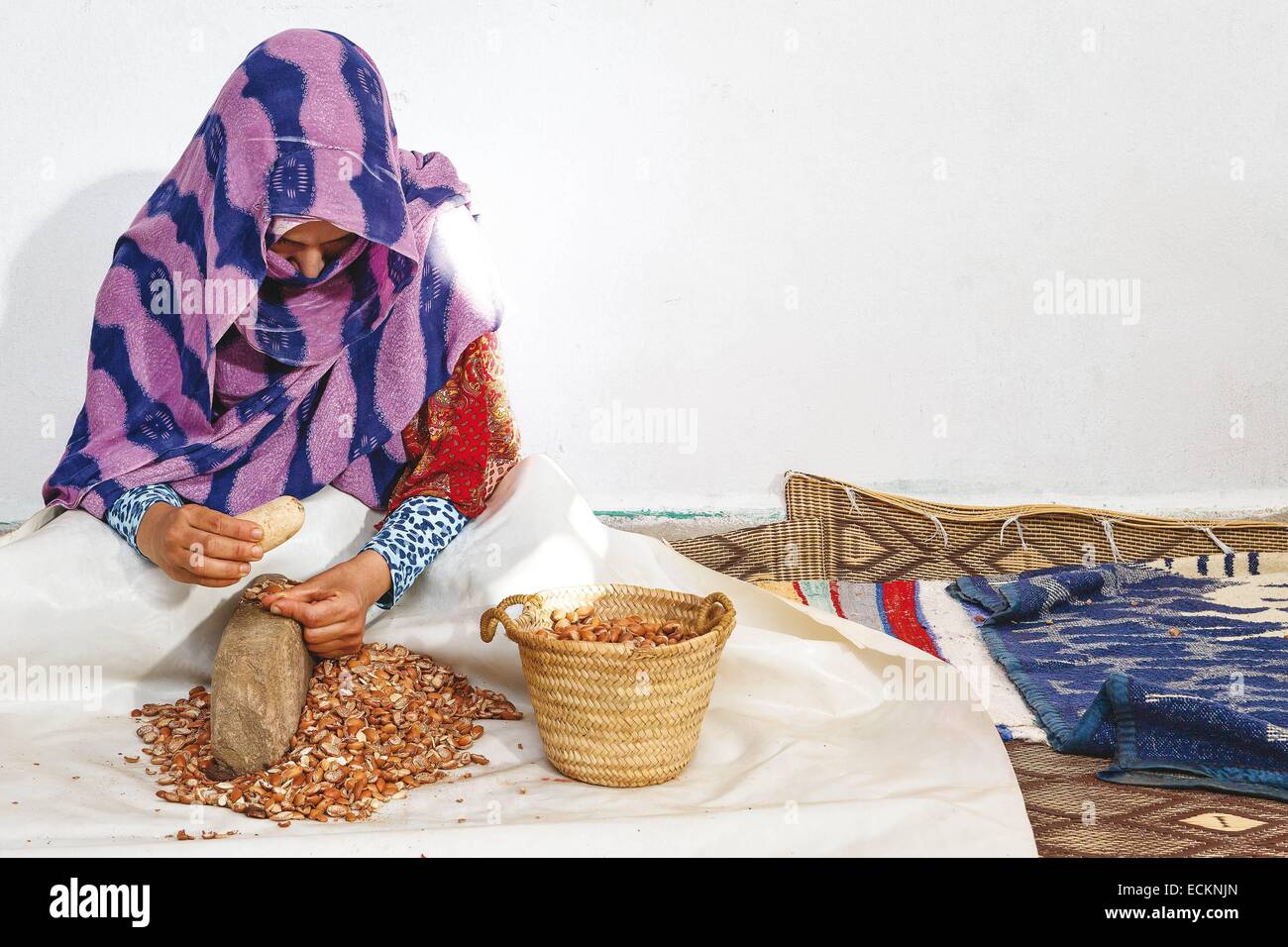 Morocco, Souss region, Ighrem, cooperative Moroccan women, woman in charge of pulping the seeds of argan, pulping of argan seeds manually and traditional Stock Photo