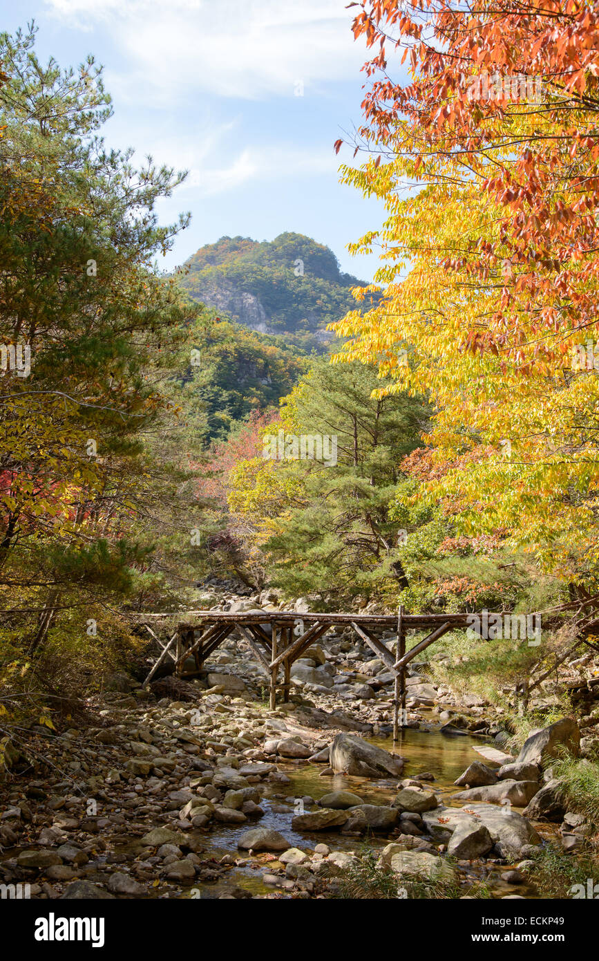wooden bridge over stream with autumn colors in fall Stock Photo - Alamy