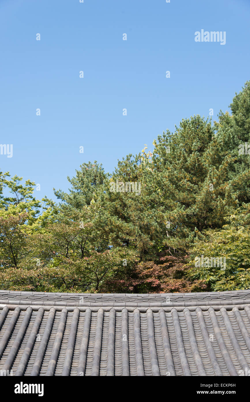 tiled roof of Korean traditional Architecture with trees Stock Photo