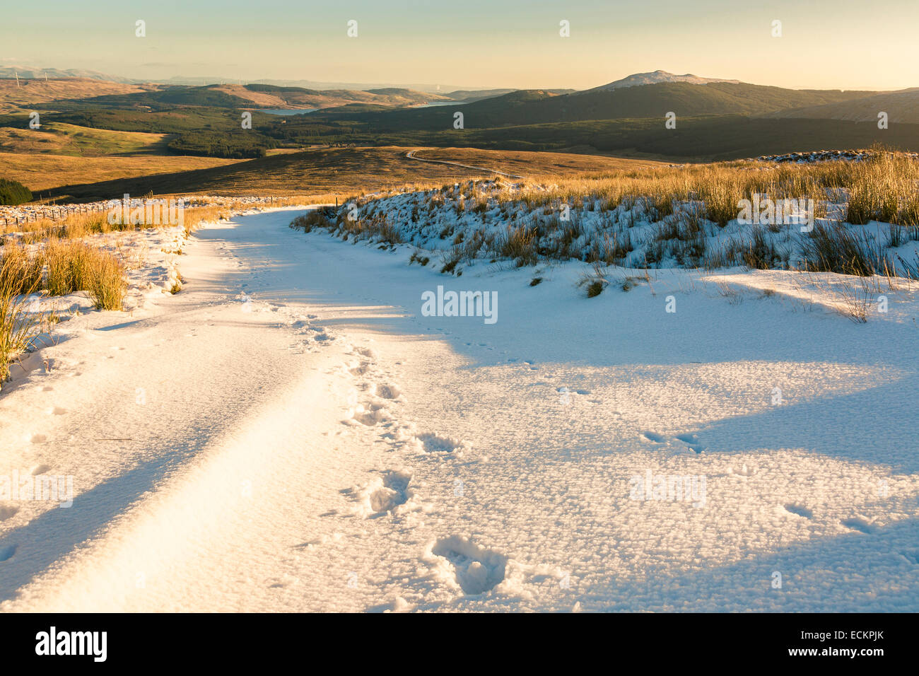 Footsteps on a snow-filled pathway on Holehead hill in the Campsie Glen, Glasgow, Scotland, UK Stock Photo