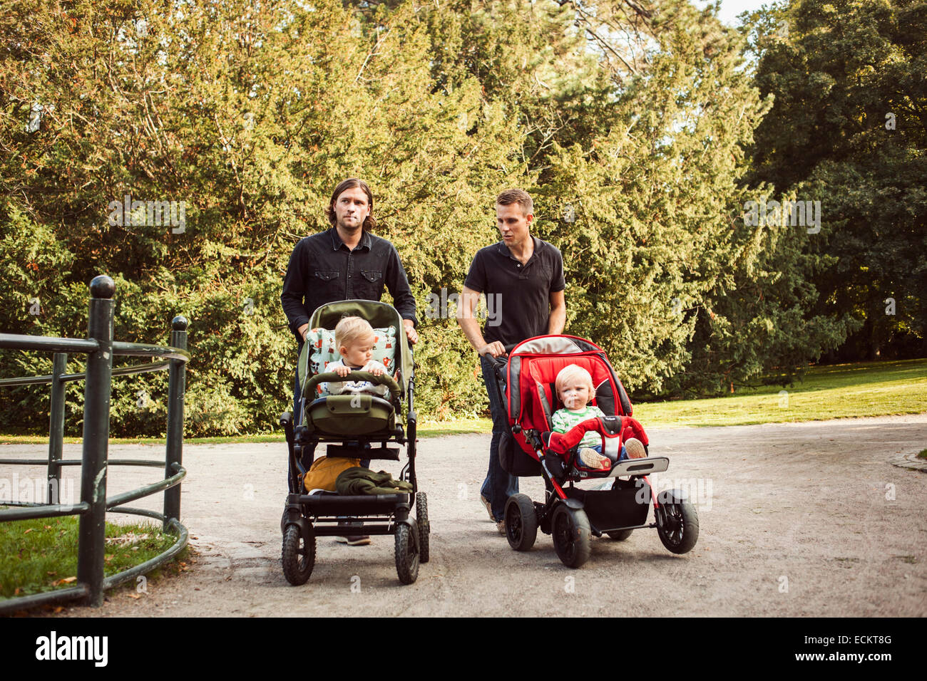 carriages for babies