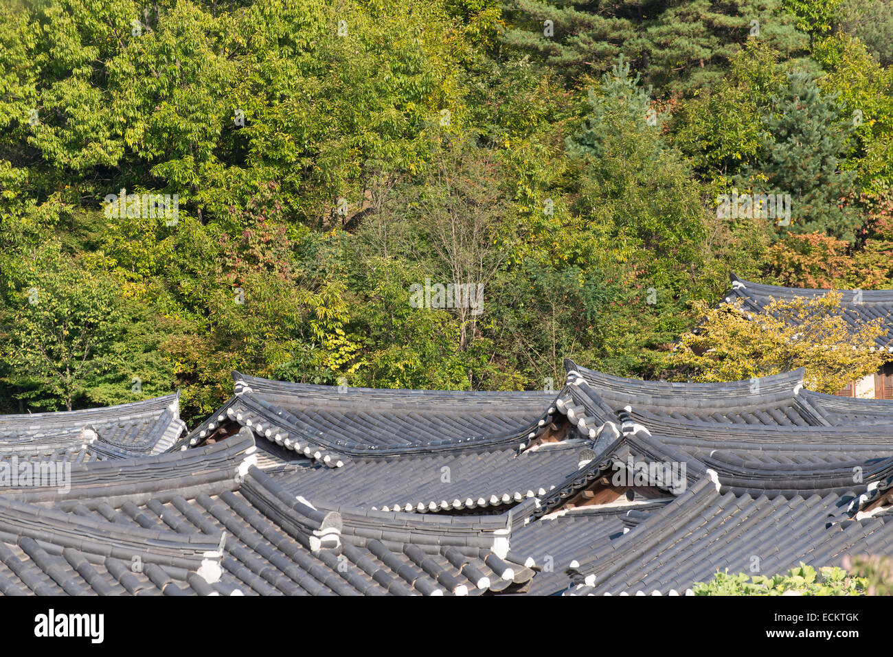 tiled roof of Korean traditional Architecture in a village Stock Photo