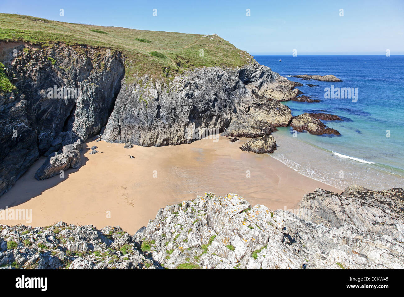 Are Dogs Allowed At Sandy Cove Hume Lake