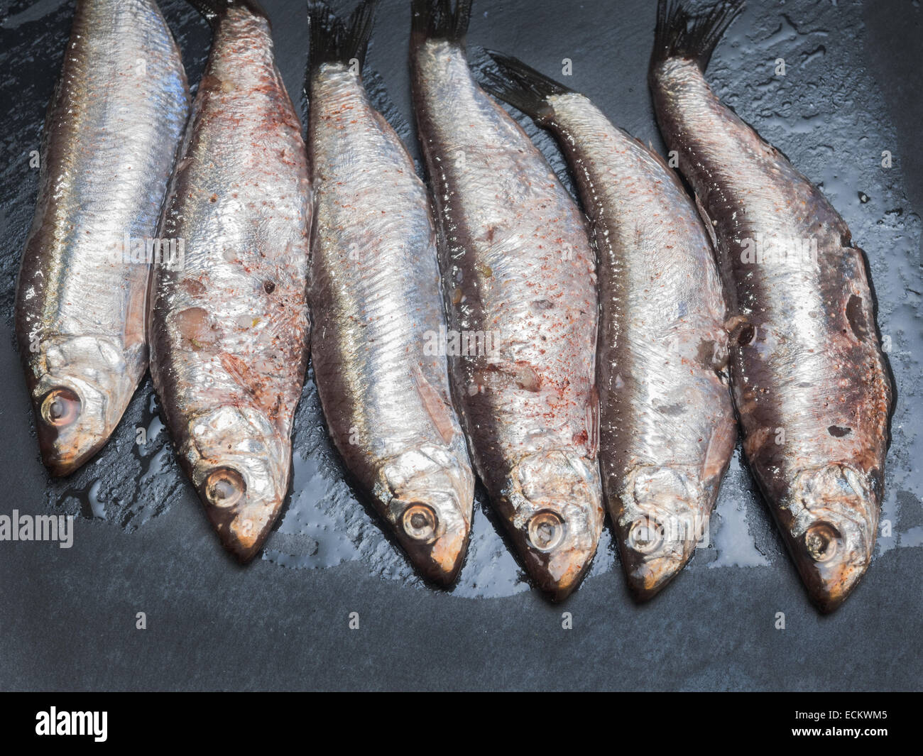 Anchovies sardines all ready to eat Stock Photo