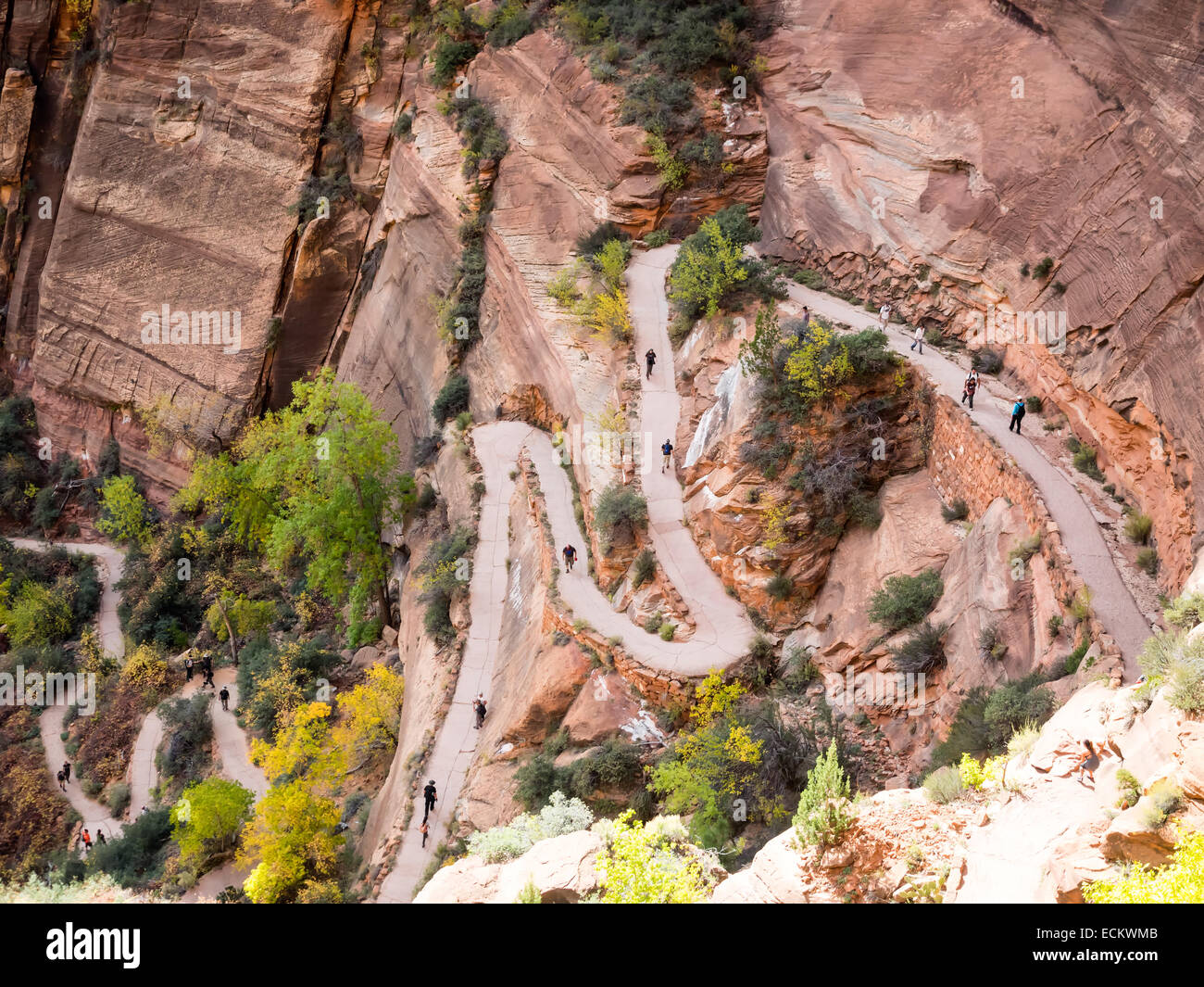Path to Angels Landing in Zion national park Stock Photo - Alamy