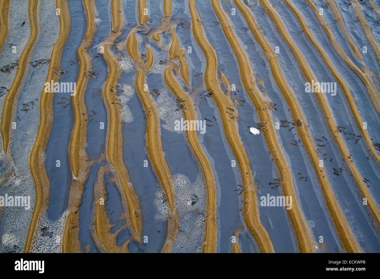 Sedimentation of clay on a pattern of ripples in sand on a beach Stock Photo