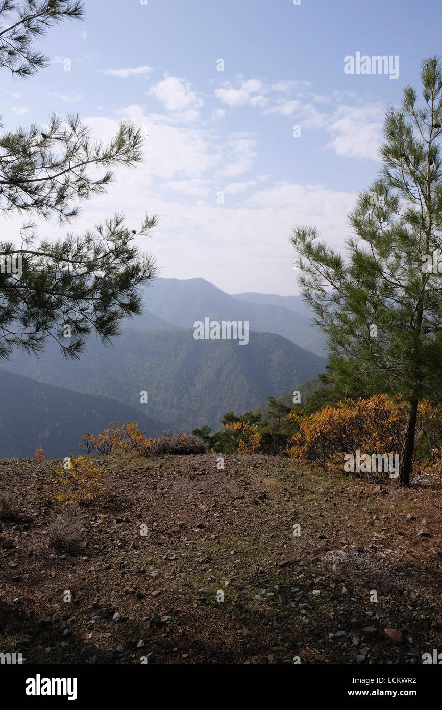 Scenery in the Troodos Mountains, Cedar Valley, Cyprus. Portrait view Stock Photo