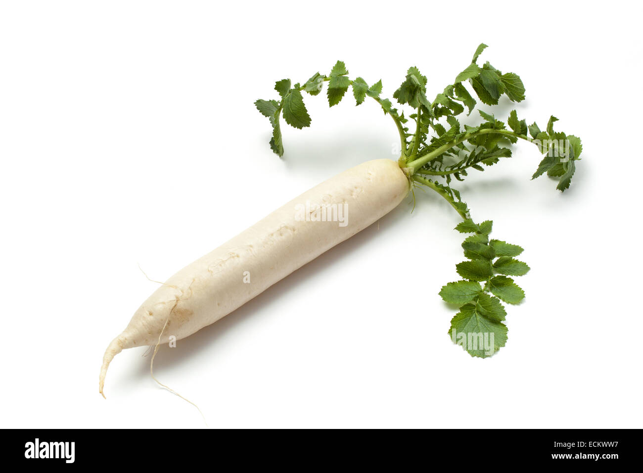 Fresh turnip with green leafs isolated on white. Stock Photo