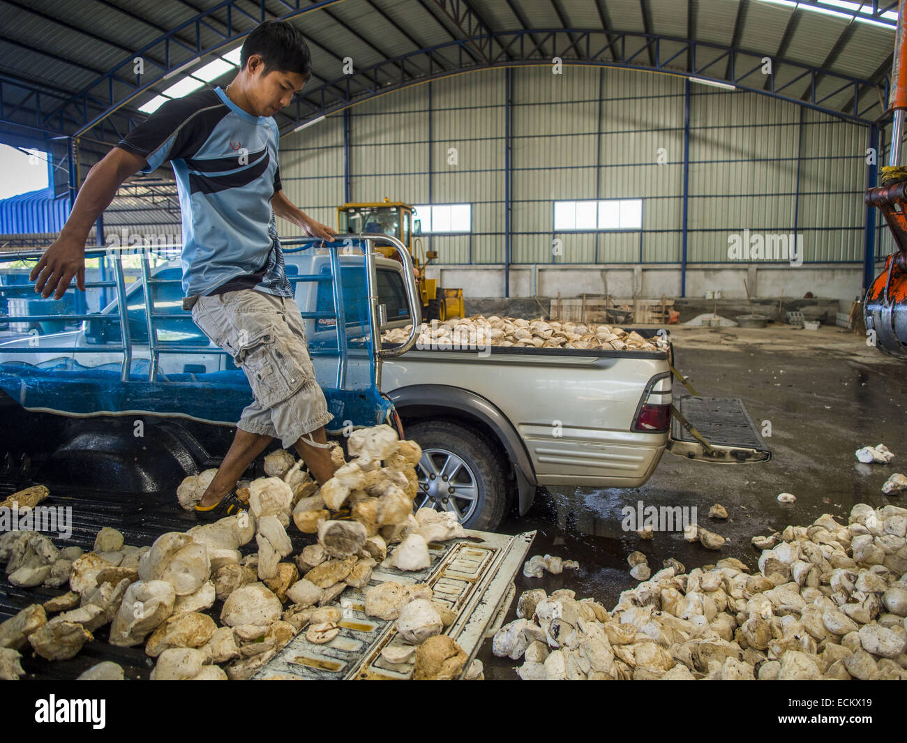 raw rubber buyers