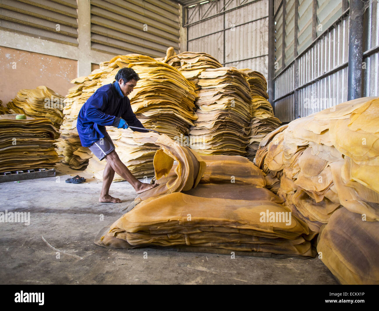 Chum Saeng, Rayong, Thailand. 15th Dec, 2014. A worker stacks rubber