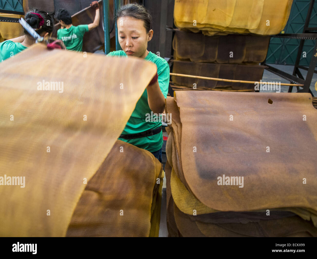 Klaeng, Rayong, Thailand. 15th Dec, 2014. A worker sorts dried rubber
