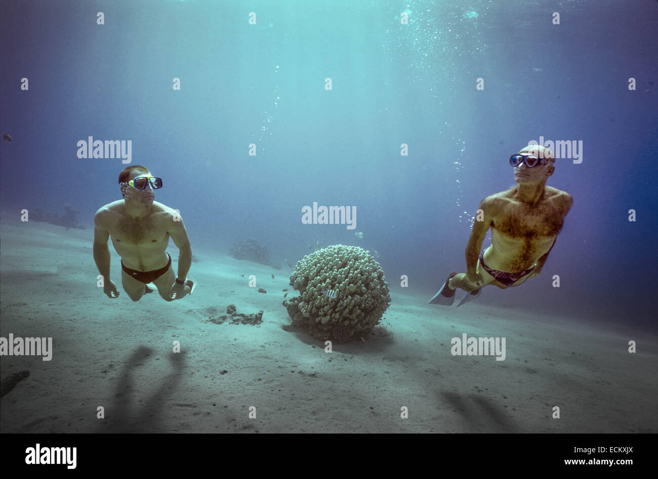 Two men free diving by coral reef mound - Eilat, Israel,Red Sea. Stock Photo