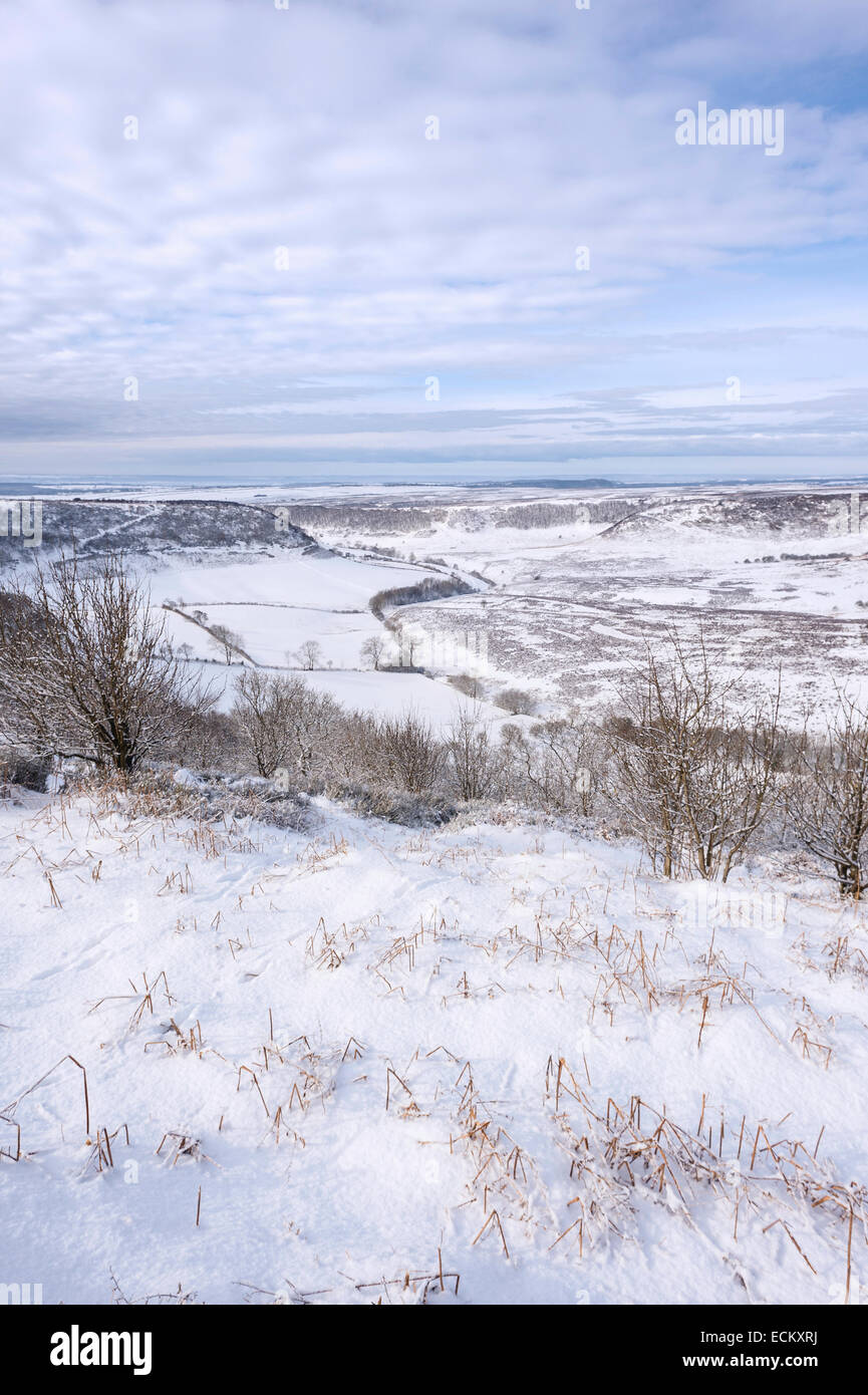 Snow over the Hole of Horcum in the midst of the North York Moors near the village of Goathland, Yorkshire, UK. Stock Photo