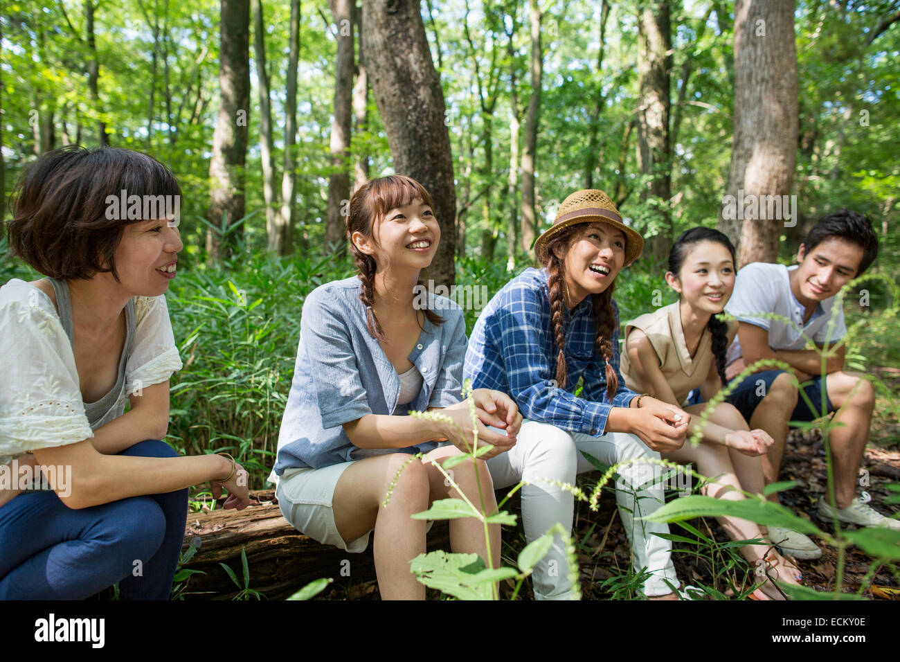 Group of friends at an outdoor party in a forest. Stock Photo