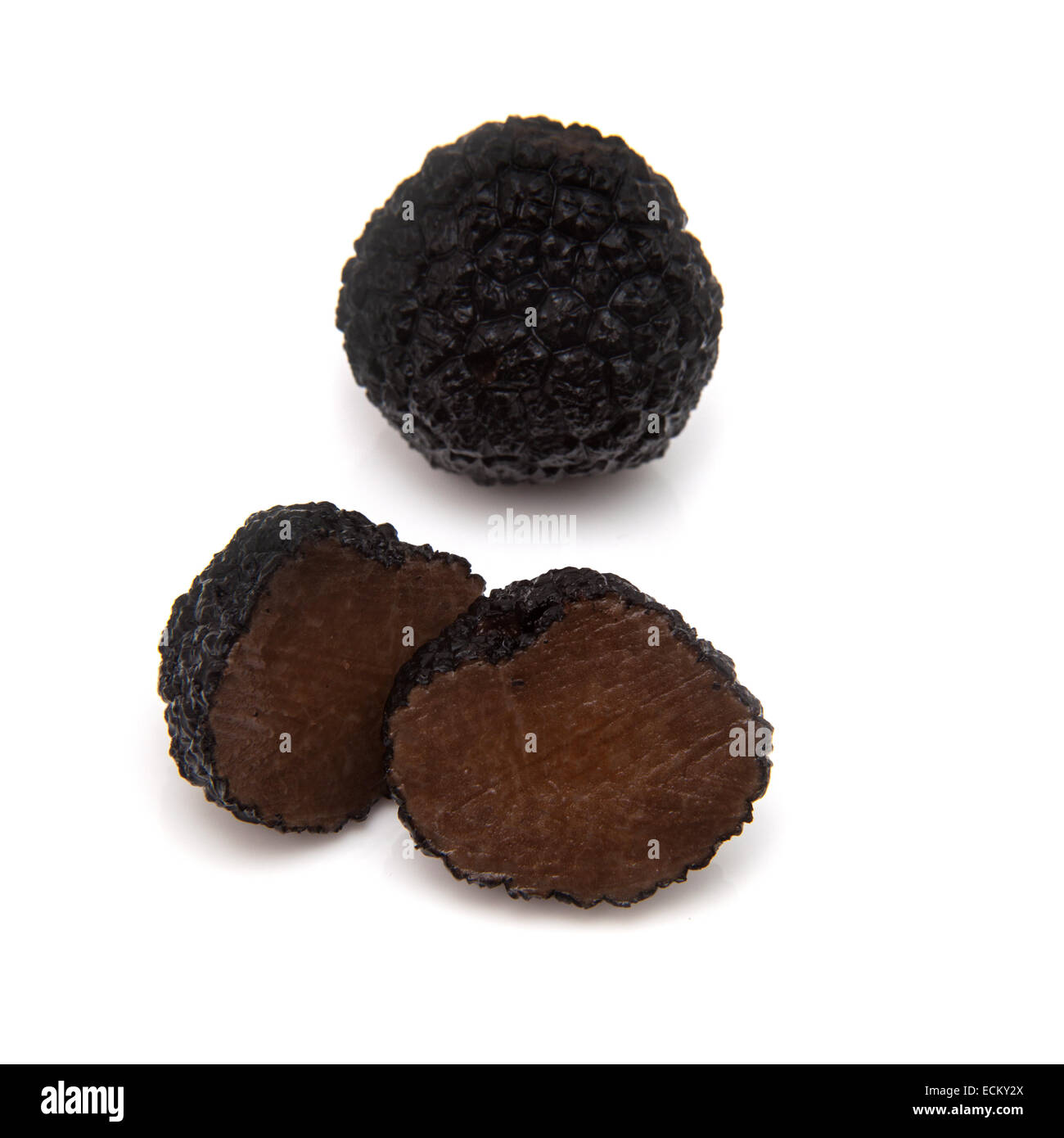 Black summer truffle isolated on a white studio background. (Tuber aestivum) or burgundy truffle isolated on a white studio back Stock Photo
