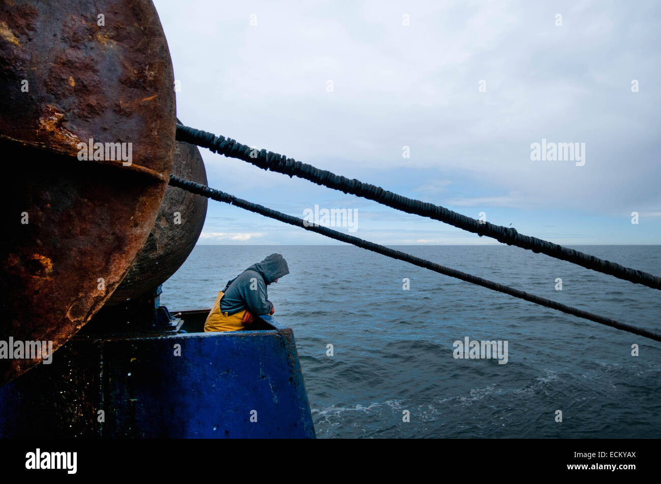 Fisherman works winch for the dragger net on fishing trawler. Stellwagen Bank, New England, United States, North Atlantic Ocean. Stock Photo