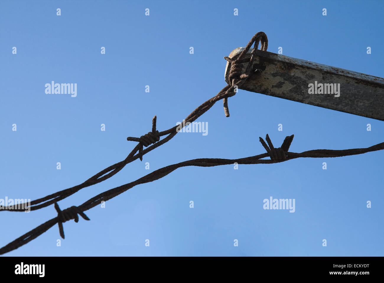 Barbed wire against the blue sky Stock Photo - Alamy