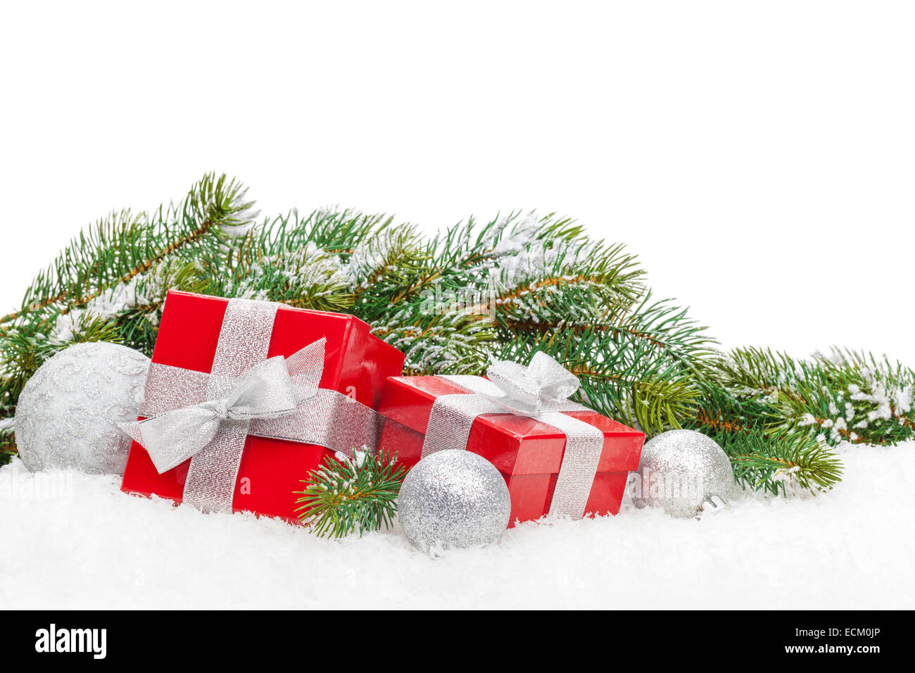Christmas gift boxes and snow fir tree. Isolated on white background ...