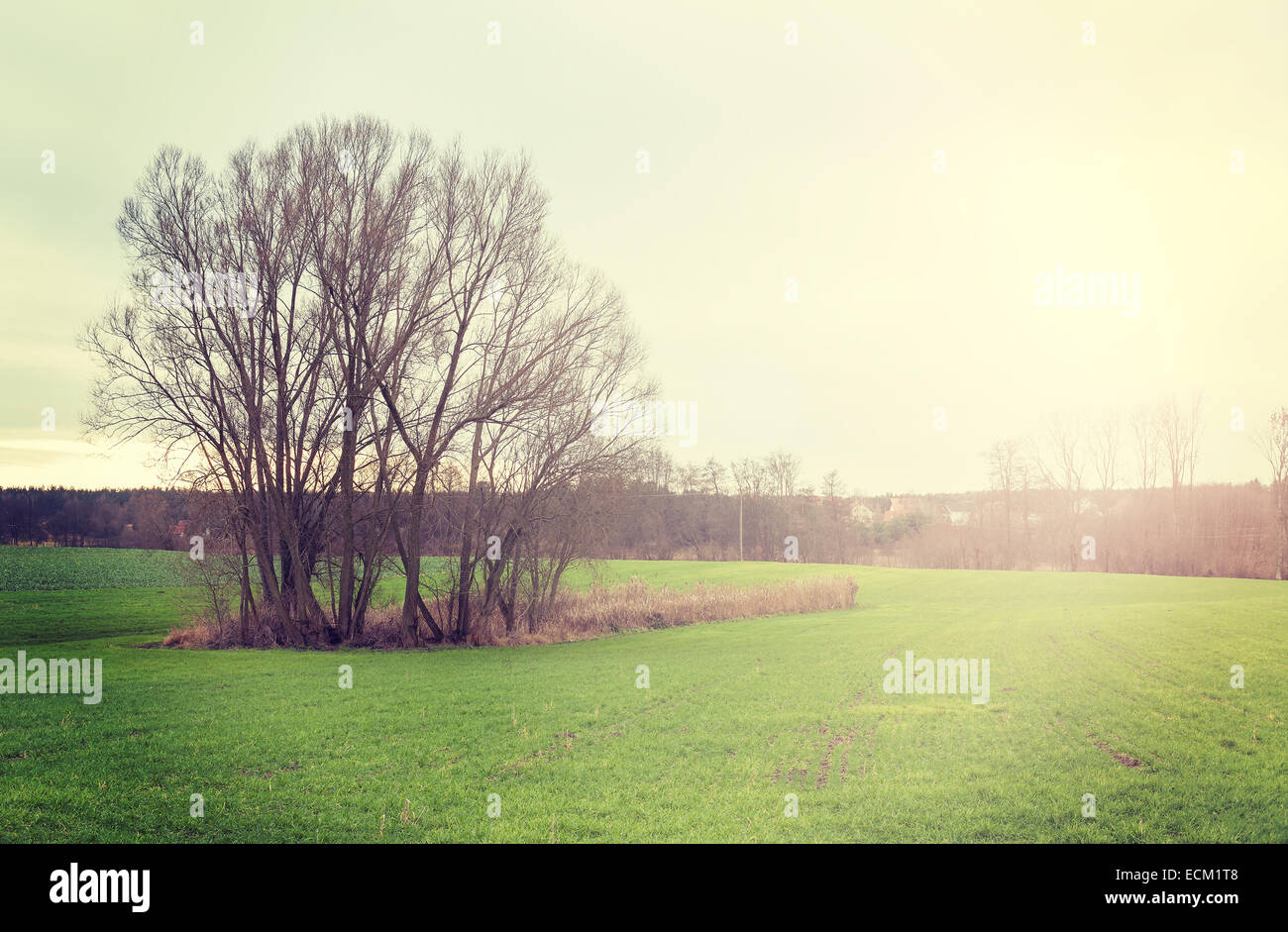 Sunset over field, vintage retro style nature background. Stock Photo