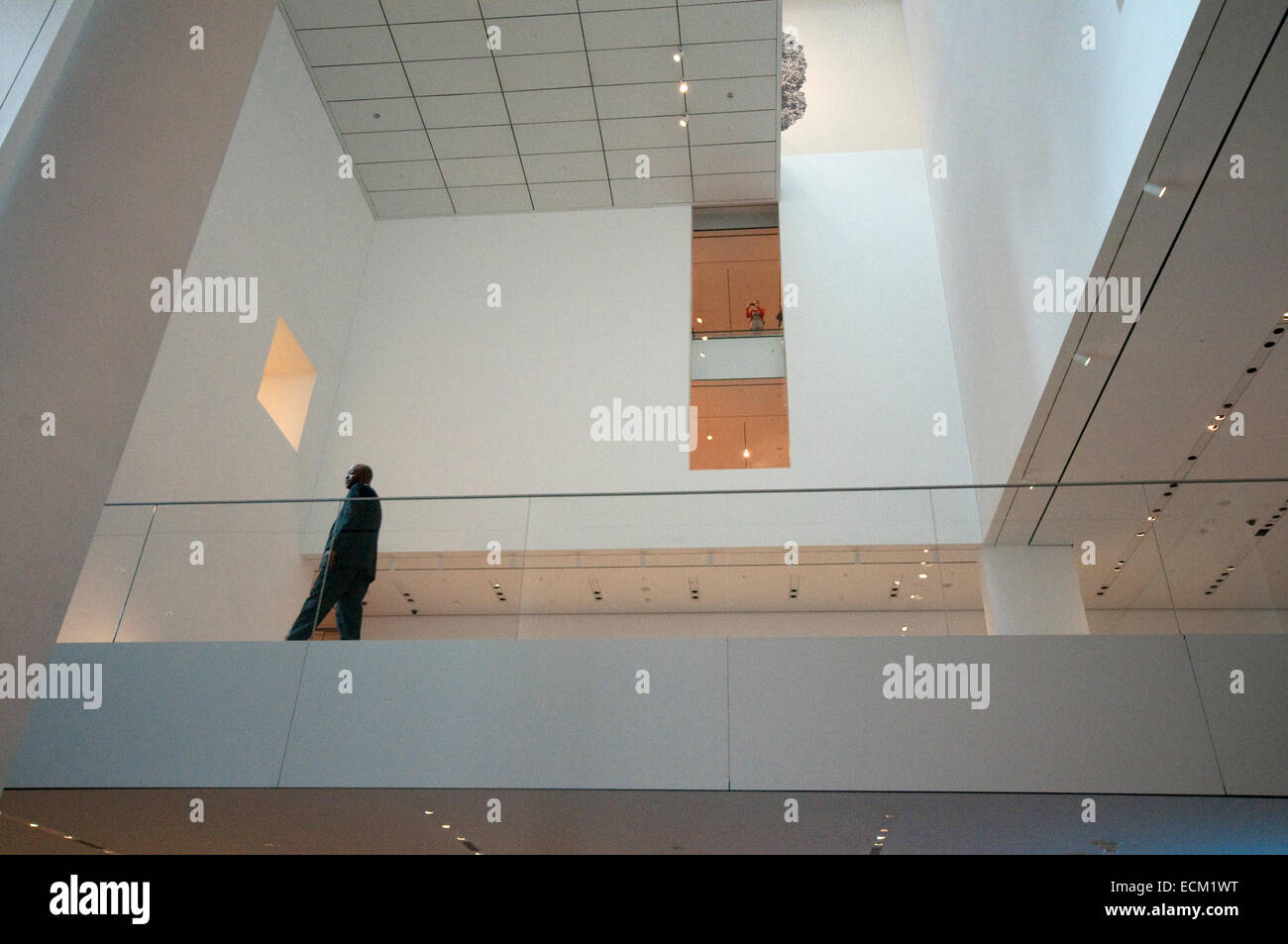 USA, New York, New York City, Manhattan, Museum of Modern Art, MOMA Stock Photo