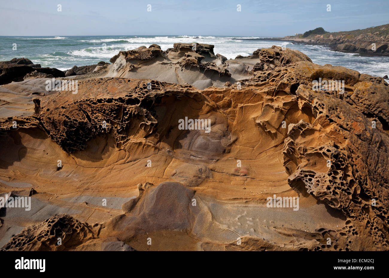 CA02503-00...CALIFORNIA - Colorful eroded sandstone at Pescadero State Beach. Stock Photo