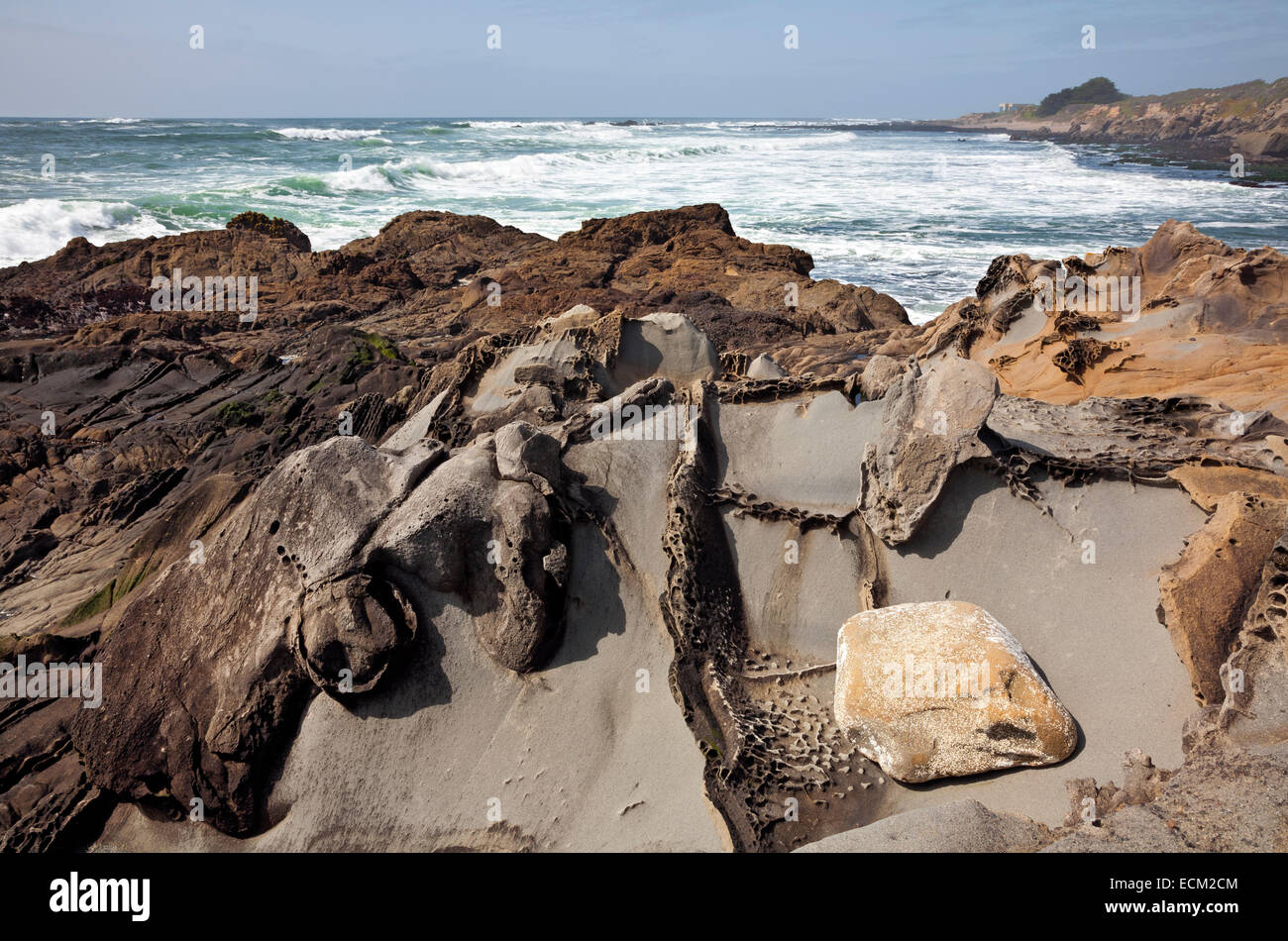 CA02505-00...CALIFORNIA - Shapes and colors in the eroded sandstone at Pescadero State Beach. Stock Photo