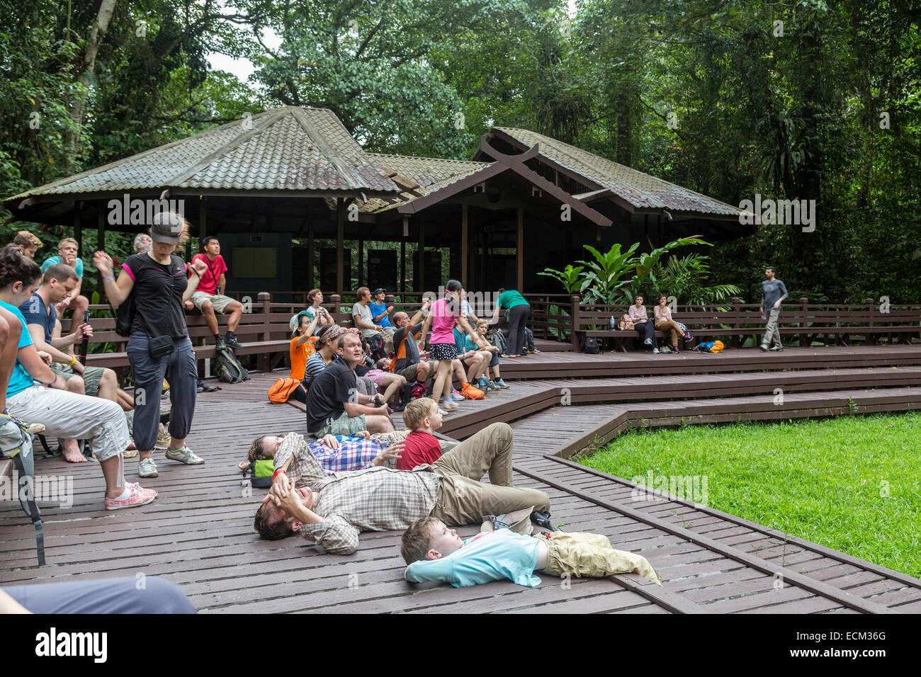 Bat flight viewing station, Mulu national park, Malaysia Stock Photo