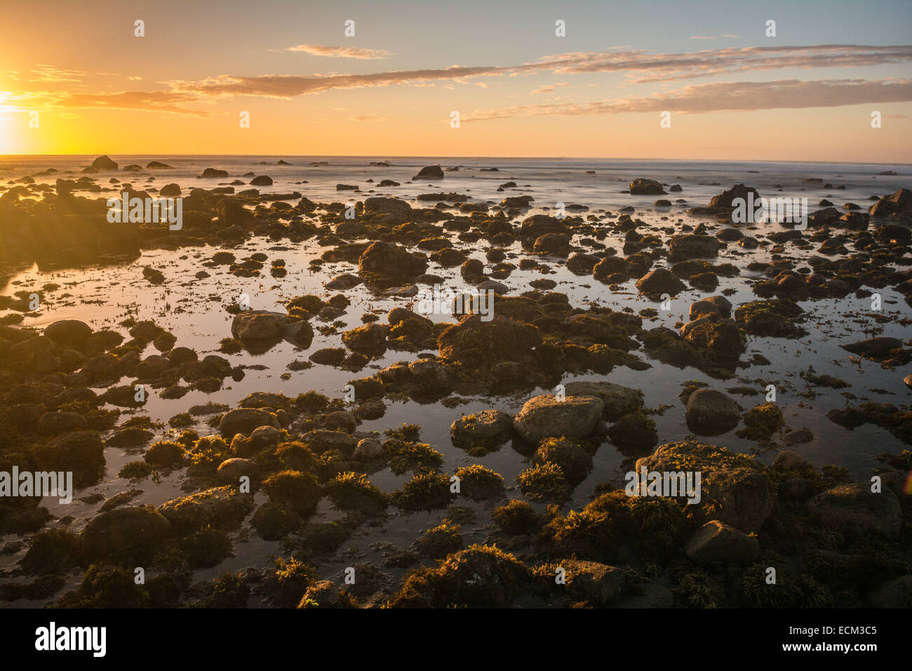 The rocky coastline near Okato, Taranaki, North Island, New Zealand Stock Photo