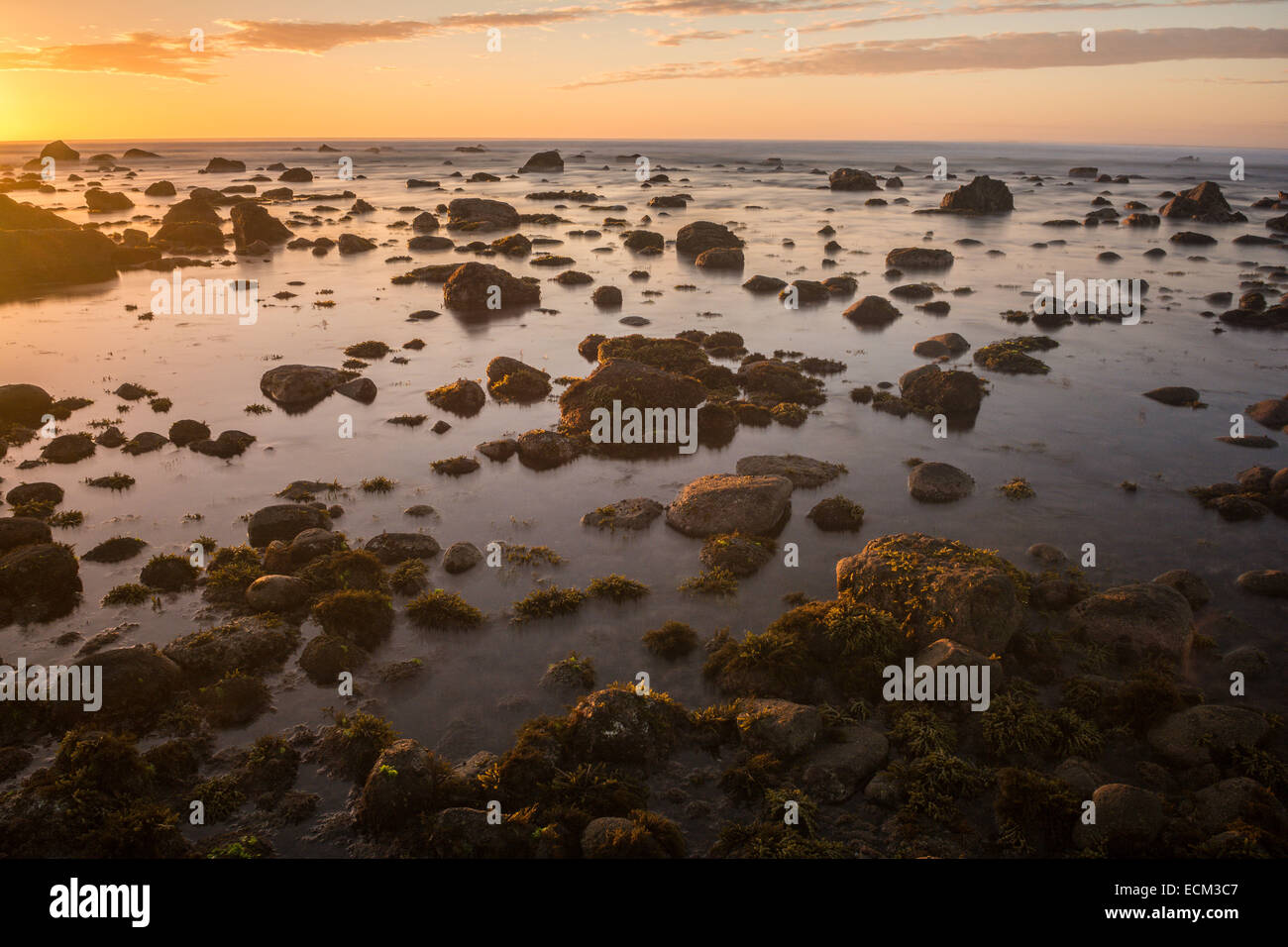 The rocky coastline near Okato, Taranaki, North Island, New Zealand Stock Photo Alamy