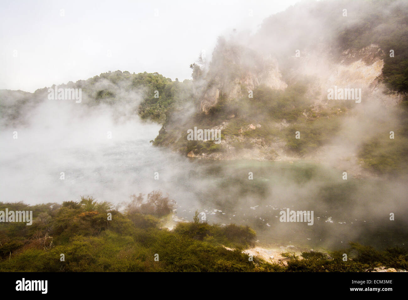 Frying Pan Lake, Waimangu Volcanic Valley, North Island, New Zealand Stock Photo