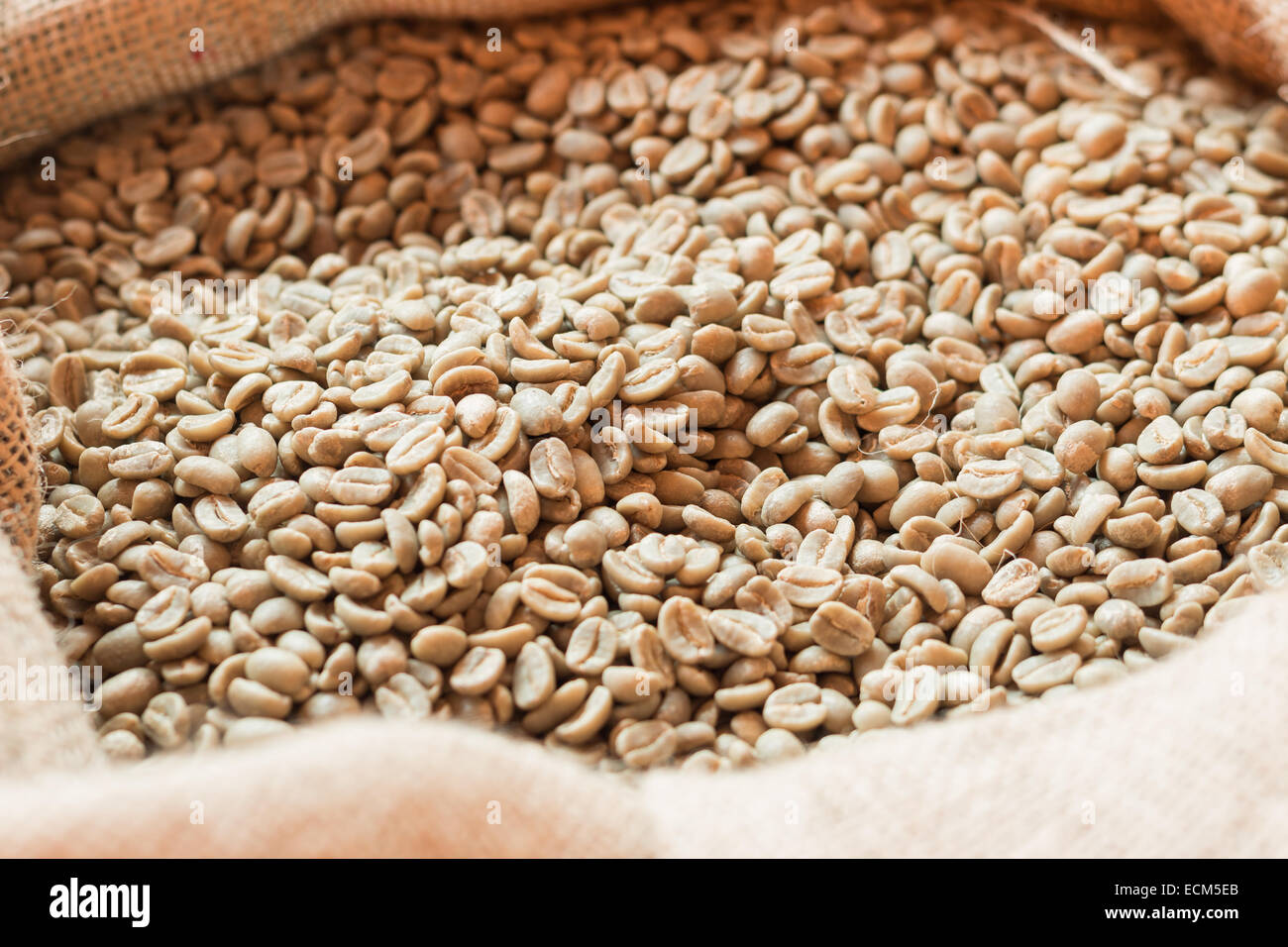 Raw coffee beans in sack Stock Photo - Alamy