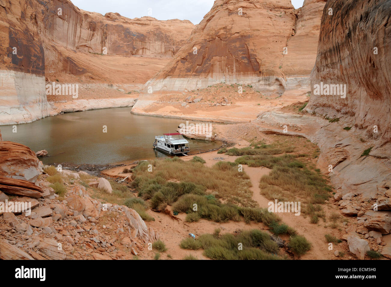 Isolated rental boat moki canyon hires stock photography and images Alamy