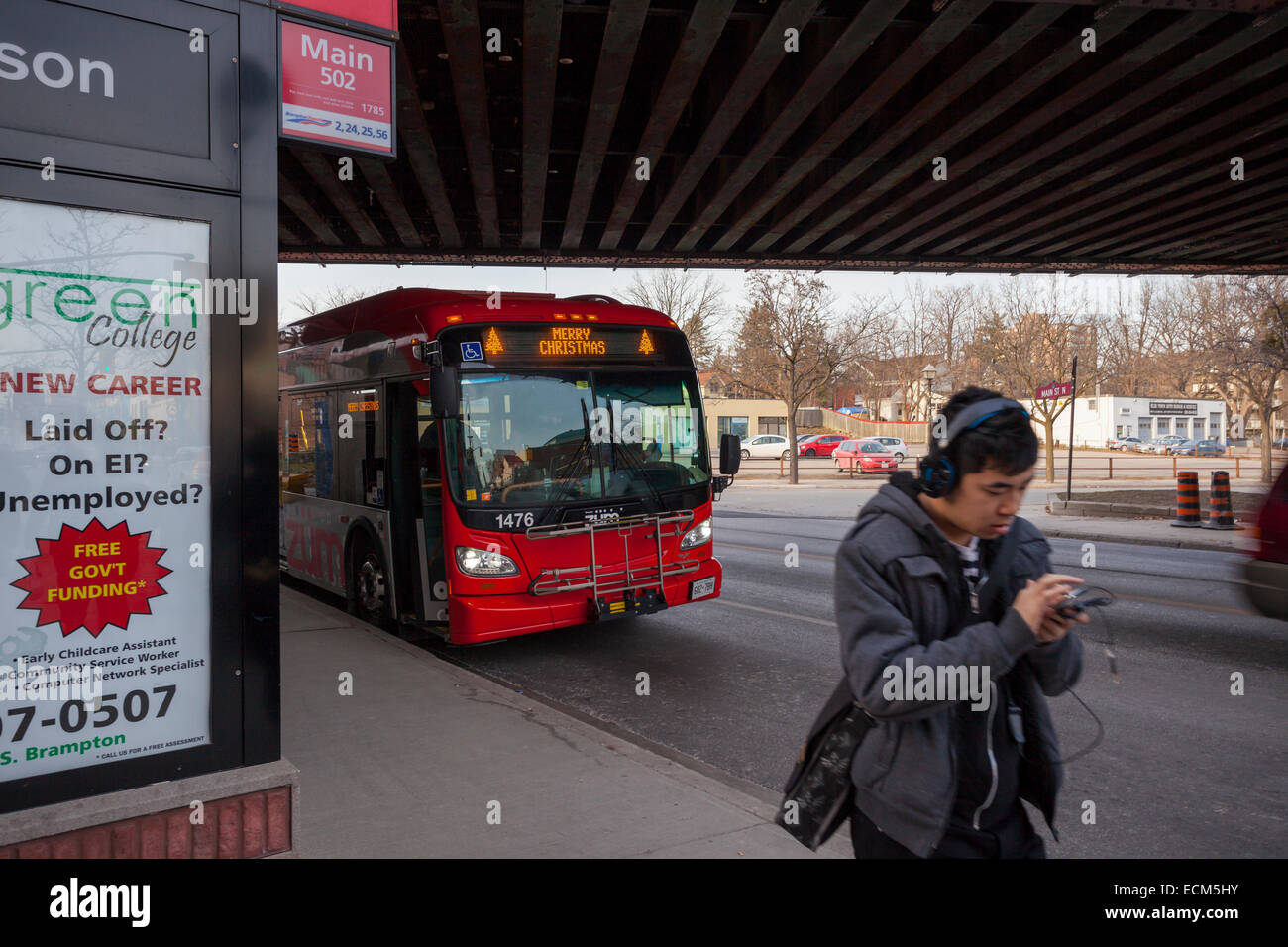 A passenger walking away from a Züm rapid transit bus in downtown Brampton, Ontario, Canada. Stock Photo