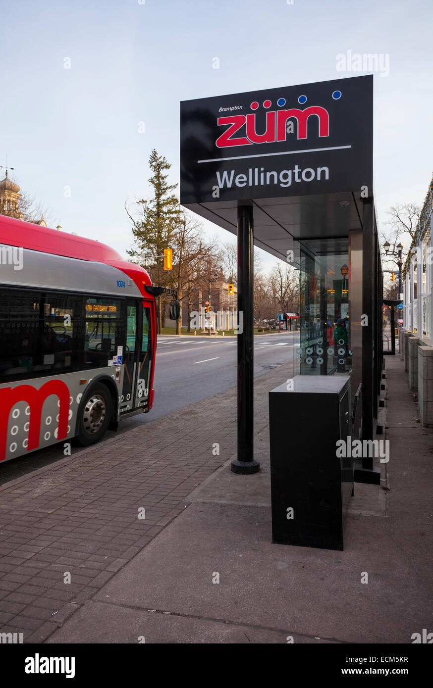 A Züm rapid transit bus waiting at a bus stop in downtown, Brampton, Ontario, Canada. Stock Photo