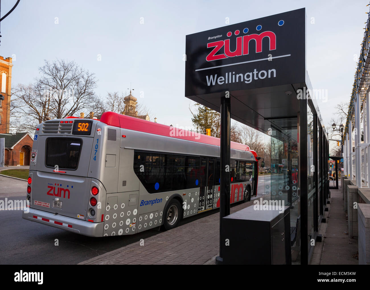 A Züm rapid transit bus waiting at a bus stop in downtown, Brampton, Ontario, Canada. Stock Photo