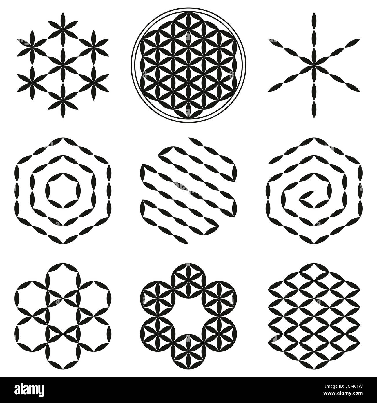Eight extracted patterns from the Flower of Life, a spiritual symbol and Sacred Geometry since ancient times. Stock Photo