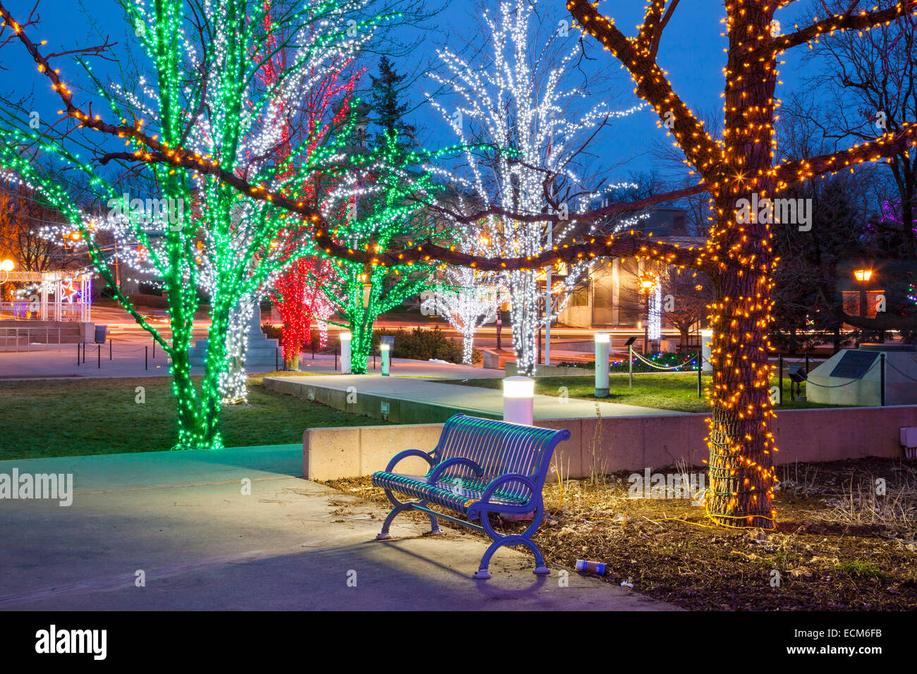 A park bench and illuminated trees near City Hall in downtown Brampton