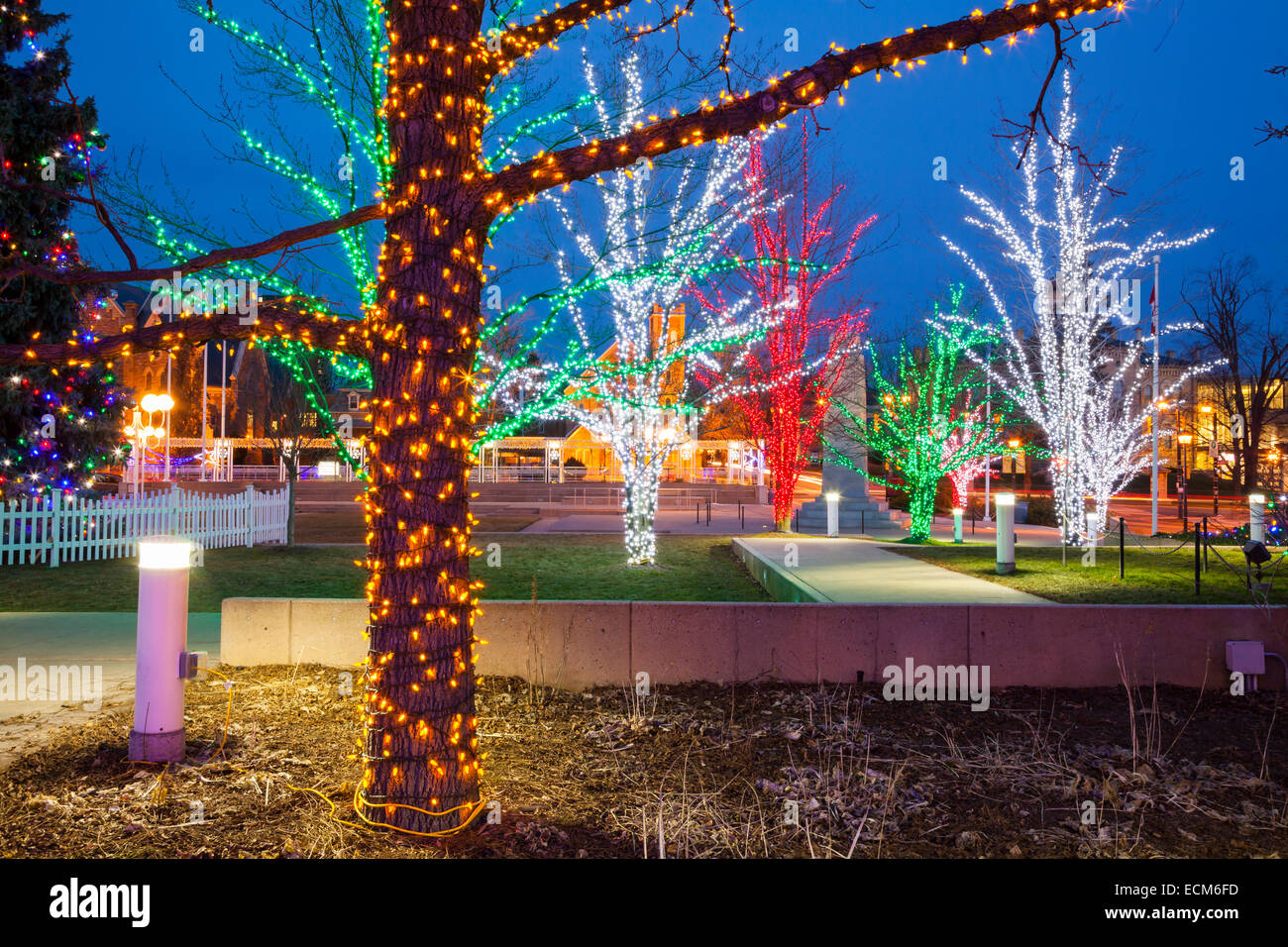 Illuminated trees near City Hall in downtown Brampton, Ontario, Canada