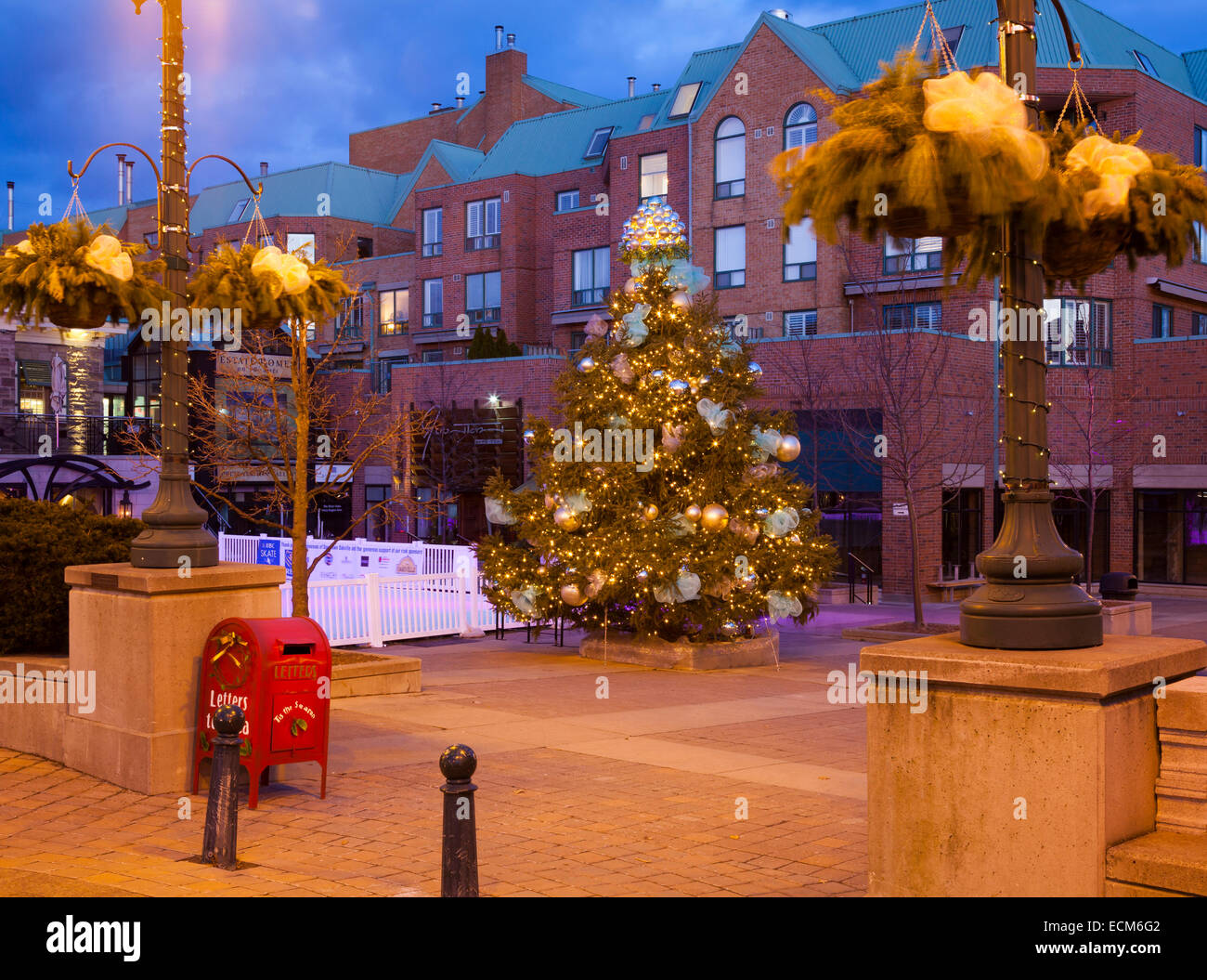 A Christmas Tree in Oakville's Towne Square at dusk. Ontario, Canada