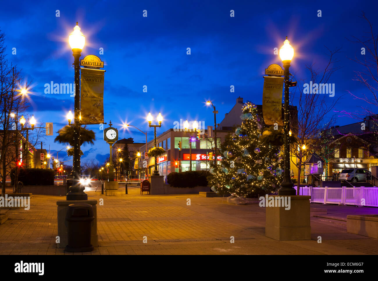 A Christmas Tree in Oakville's Towne Square at dusk. Ontario, Canada