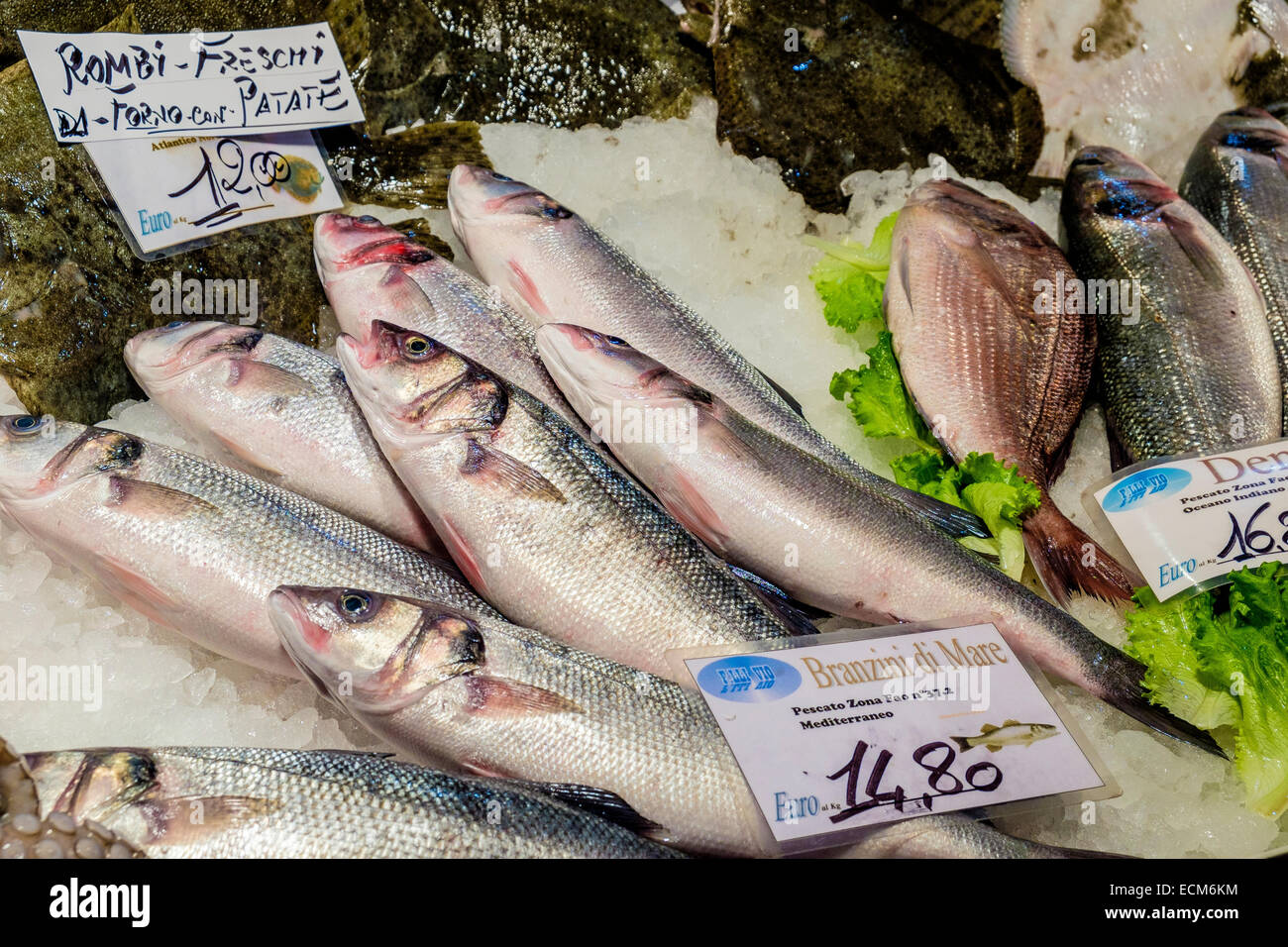 Fresh fish on sale at the Rialto Fish Market (Pescheria) in Venice