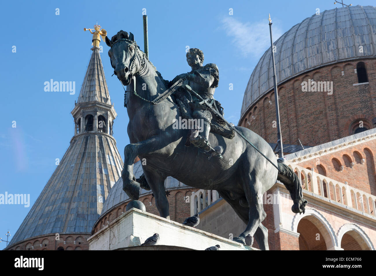 Equestrian Statue of Gattamelata by Donatello, 1453, Piazza del Santo, Padua, Italy Stock Photo