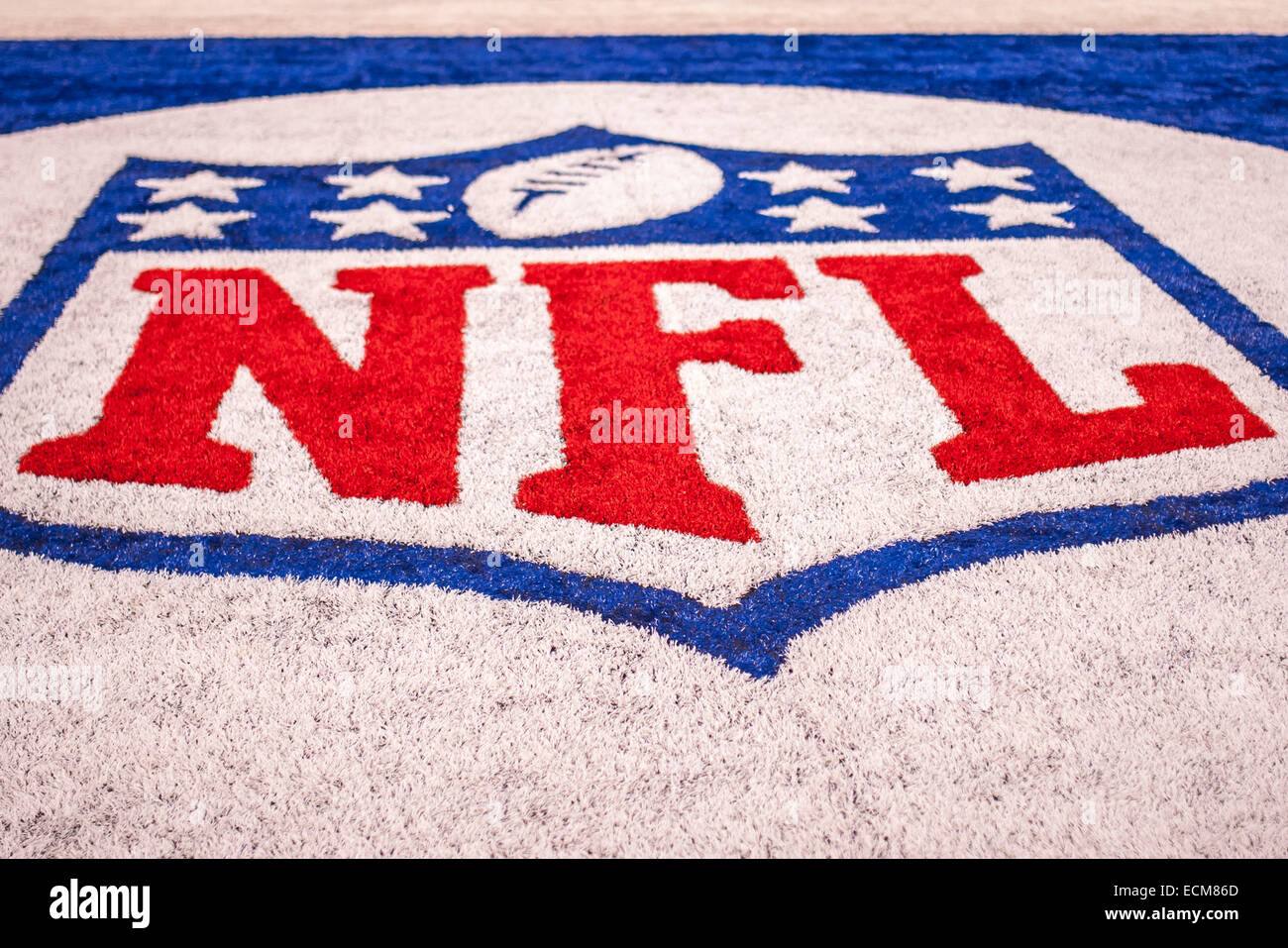 Colts End Zone Lettering NFL logo as it appears in the end zone at the NFL game between Houston ...