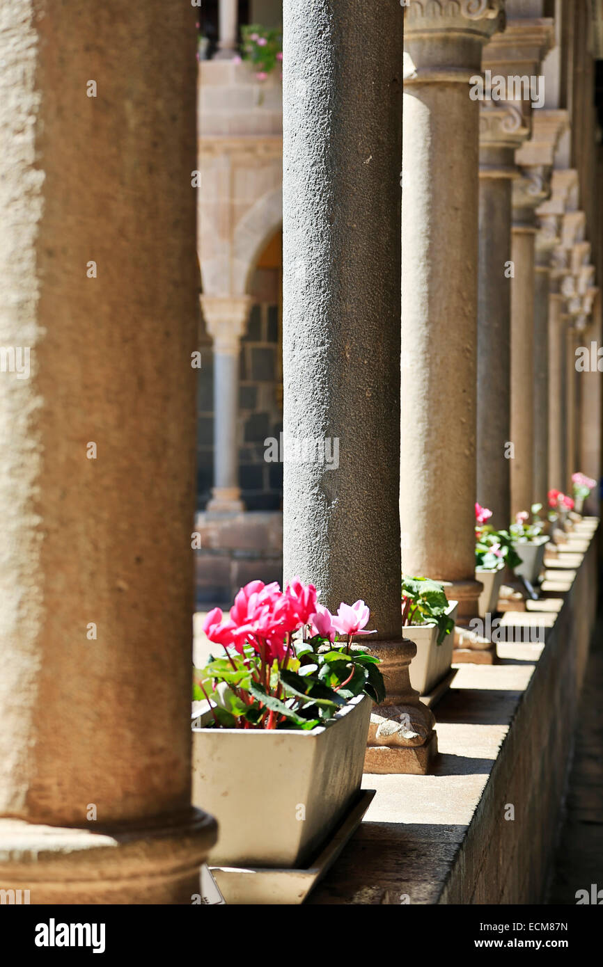 Columns and flowers, Coricancha, Convento de Santo Domingo del Cusco, Cusco, Peru Stock Photo