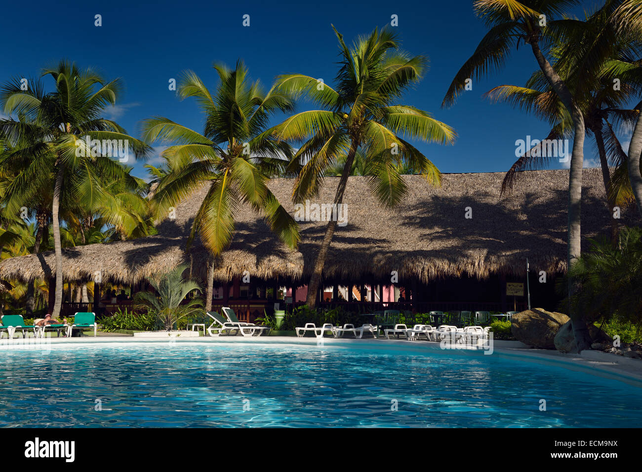 Pool and thatched roof bar with coconut palm trees at vacation resort in Puerto Plata Dominican Republic Stock Photo