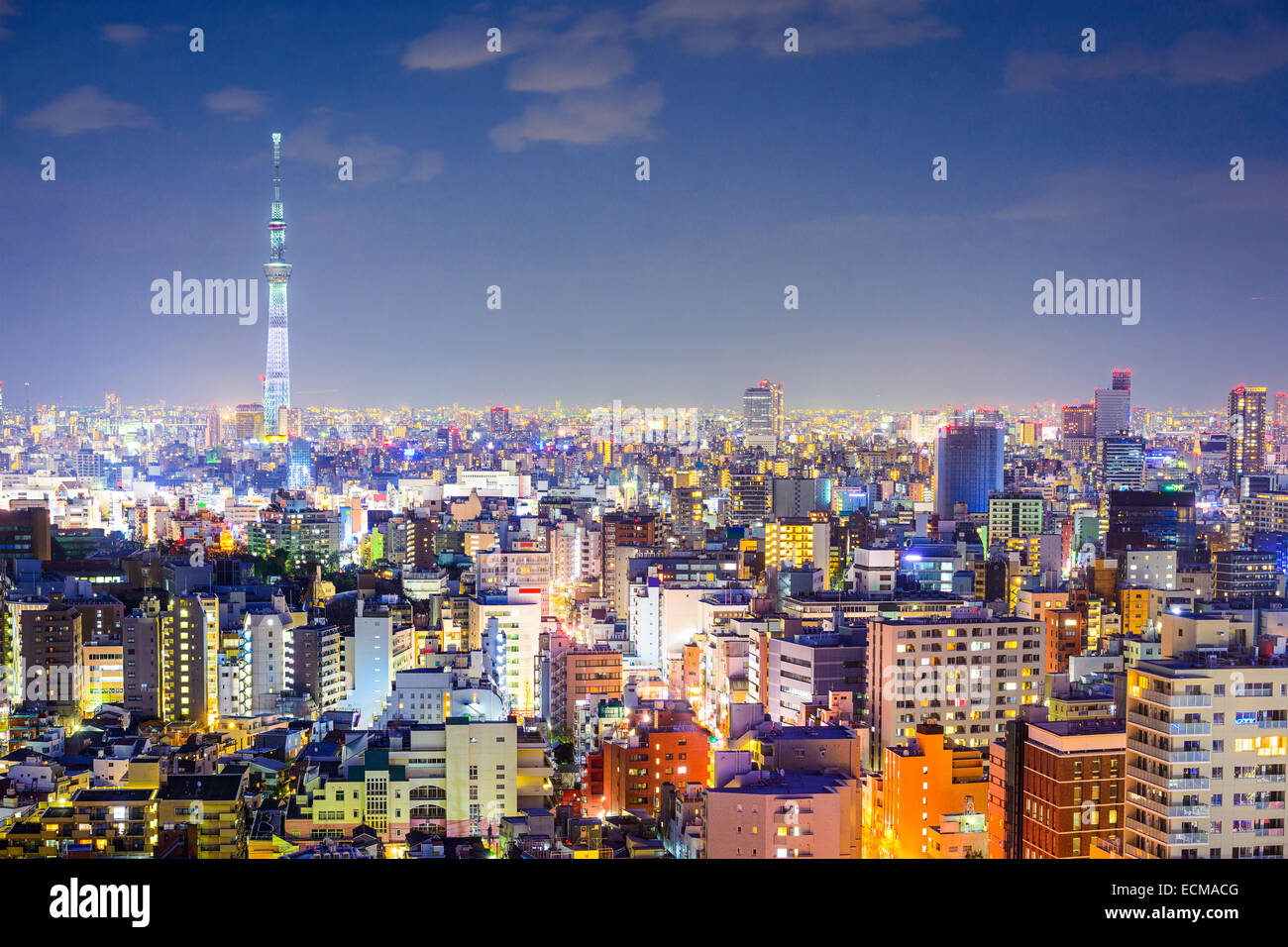 Tokyo, Japan city skyline from Bunkyo Ward. Stock Photo