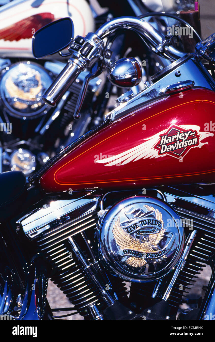 Powerful, chromed American made Harley Davidson motorcycle engine Stock