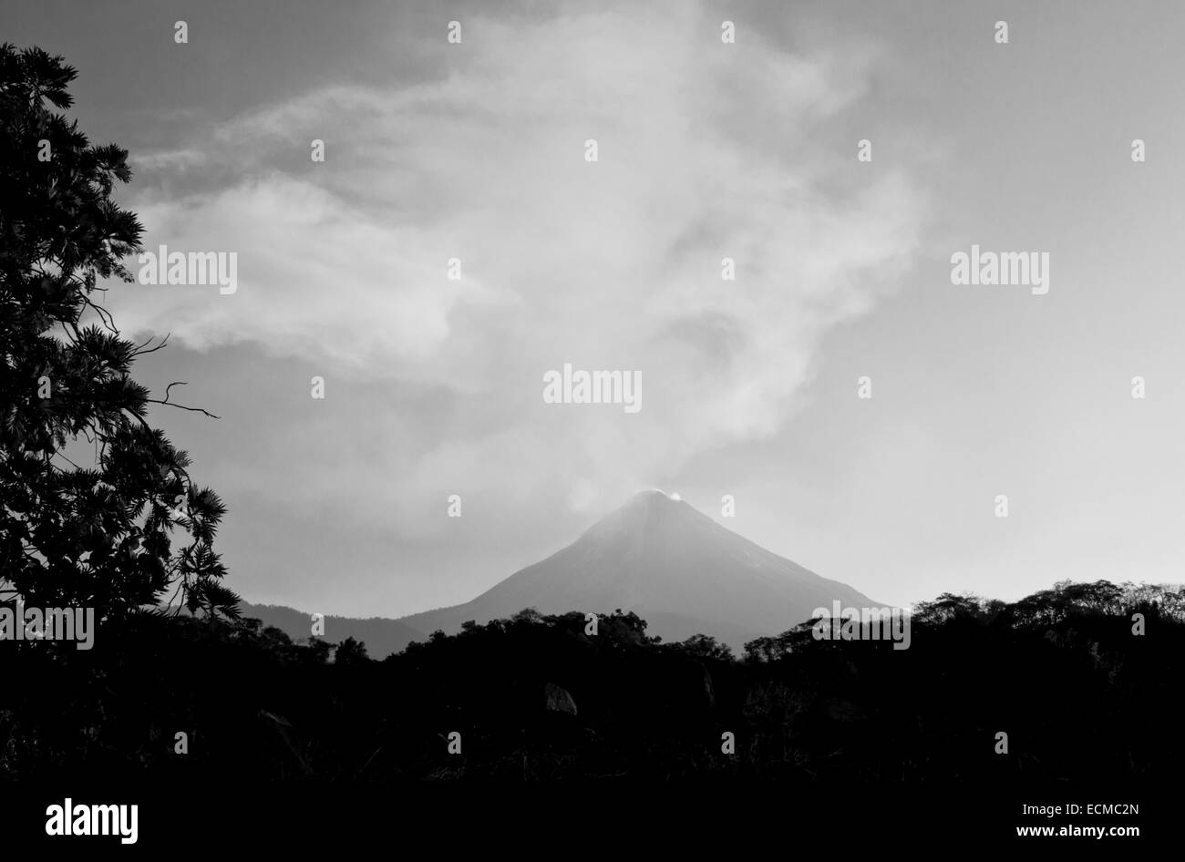 Gas cloud or plume erupting from Volcan El Feugo/ de Colima a  volcano in Mexico seen during the early morning Stock Photo
