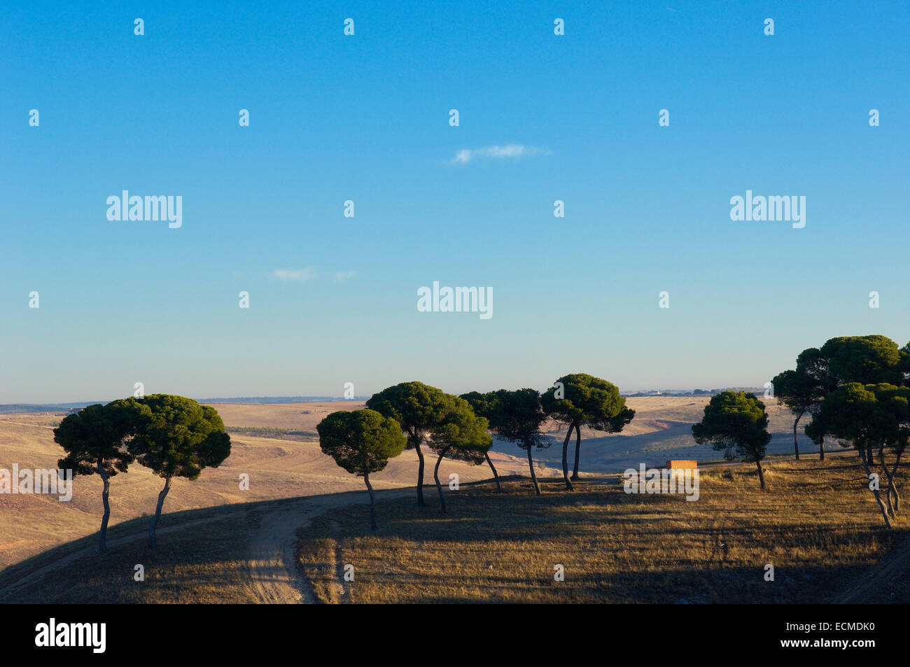 Landscape near Belmonte, Cuenca province, Castilla-La Mancha, Spain, Europe Stock Photo