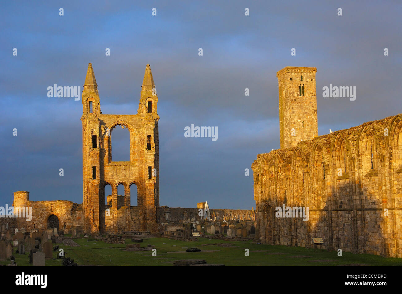 Ruins of St. Rule's church and cathedral at sunset, St. Andrews, Fife